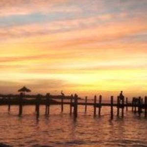 Meet your Posher, Dottie